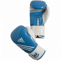 Перчатки боксерские Fitness ВL05 