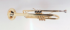 Труба Conductor помповая FLT-TR-3 Т, студенческая модель, цвет "золото"