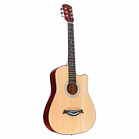 Акустическая гитара FT-R38B-N, цвет натуральный